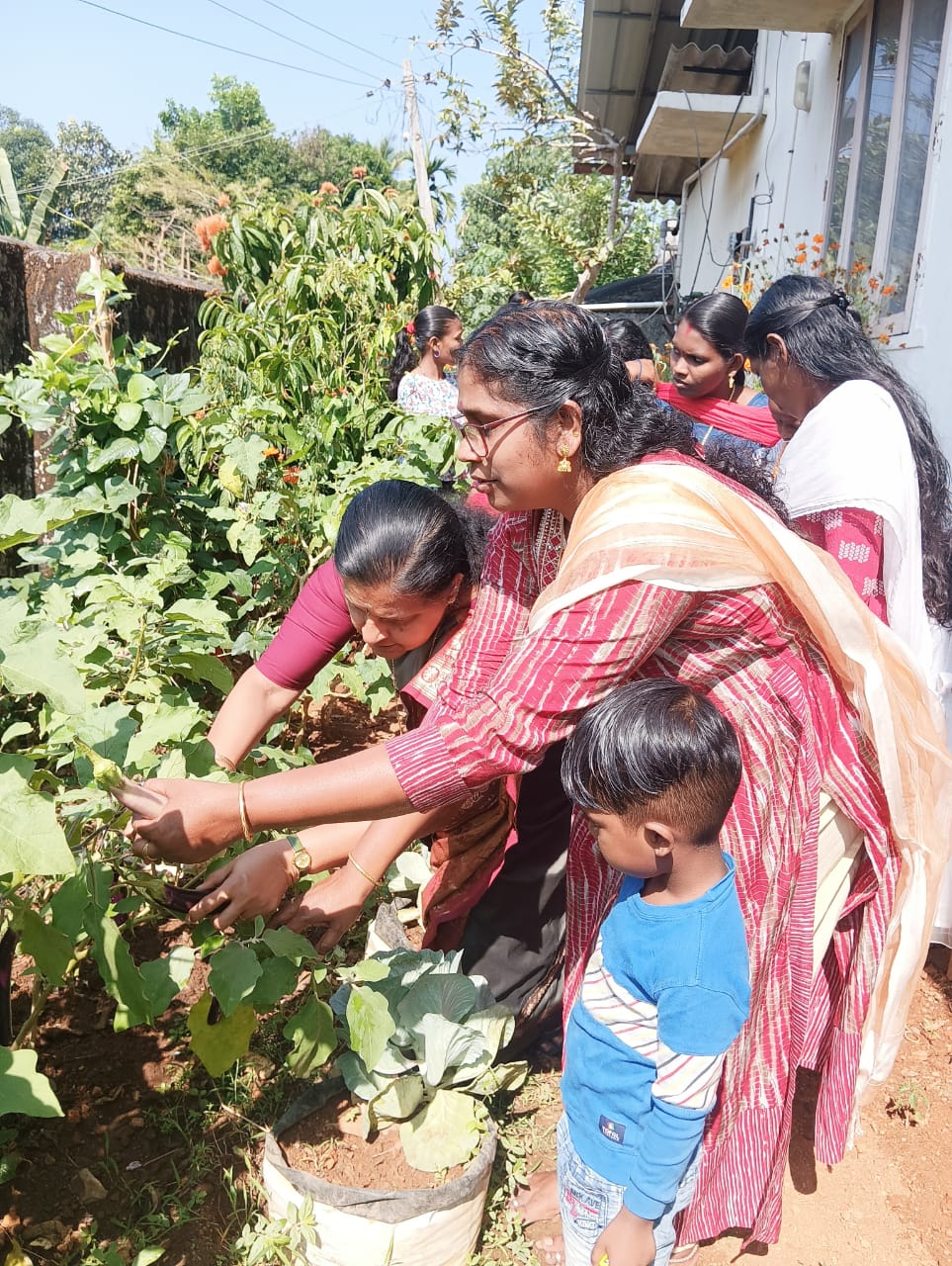 Nutrition Garden programme for ICDS Anganwadies